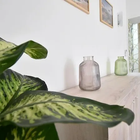 Due Passi Dal Cupolone - Al Centro Apartamento *
